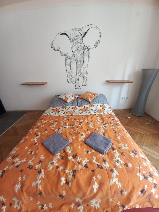 Elefantos * Kaposvár
