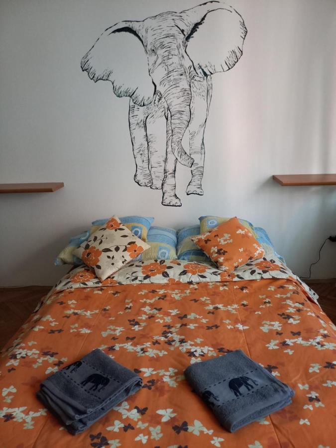 Elefantos * Kaposvár